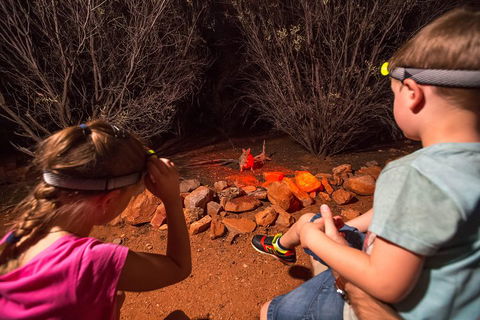 Alice Springs Desert Park Nocturnal Tour - Tourism Gold Coast 4