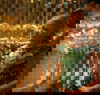 The Perth Mint Guided Heritage Tour and Gold Pour - Tourism Gold Coast