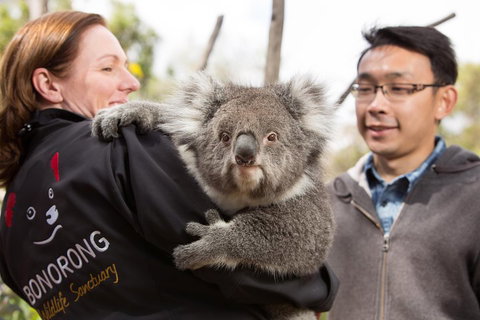 Bonorong Wildlife Park And Richmond Afternoon Tour From Hobart - Tourism Gold Coast 0