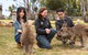 Bonorong Wildlife Park And Richmond Afternoon Tour From Hobart - thumb 1