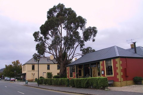 Bonorong Wildlife Park And Richmond Afternoon Tour From Hobart - Tourism Gold Coast 3