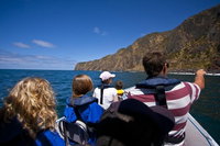 Seal Island Boat Tour from Victor Harbor, Adelaide