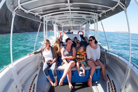 Seal Island Boat Tour From Victor Harbor - Tourism Gold Coast 1