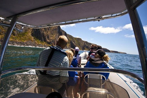 Seal Island Boat Tour From Victor Harbor - Tourism Gold Coast 2