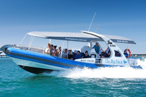 Seal Island Boat Tour From Victor Harbor - Tourism Gold Coast 3