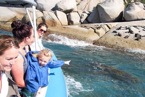 Seal Island Boat Tour From Victor Harbor - Tourism Gold Coast 4