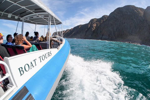 Southern Ocean Adventure From Victor Harbor - Tourism Gold Coast 0