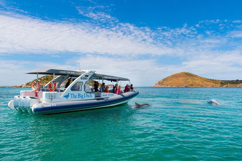 Southern Ocean Adventure From Victor Harbor - Tourism Gold Coast 1