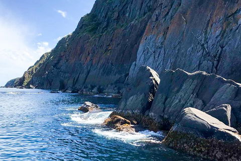 Southern Ocean Adventure From Victor Harbor - Tourism Gold Coast 3