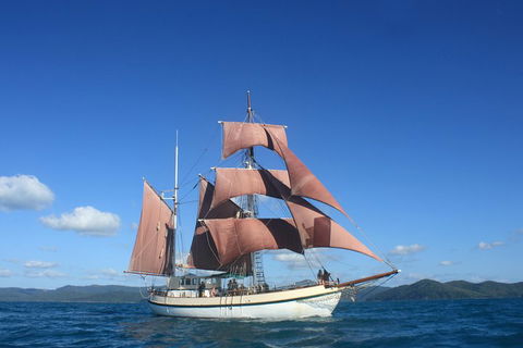 Sydney Harbour Tall Ship Whale & Sail - Whale Watching Cruise - Tourism Gold Coast 1