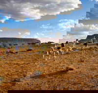 Mount Conner 4WD Small Group Tour from Ayers Rock including Dinner - Tourism Gold Coast