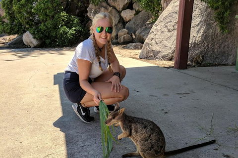 Magnetic Island Tour: Maggie Comprehensive - Tourism Gold Coast 2