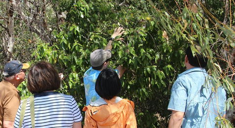 Magnetic Island Tour: Maggie Comprehensive - Tourism Gold Coast 4