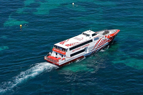 Discover Rottnest With Ferry & Bus Tour From Perth Or Fremantle - Tourism Gold Coast 3