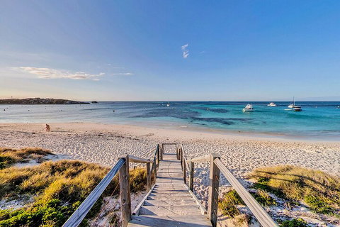 Discover Rottnest With Ferry & Bus Tour From Perth Or Fremantle - Tourism Gold Coast 4