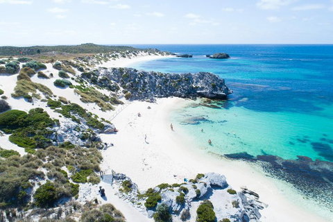 Discover Rottnest With Ferry & Bus Tour From Perth Or Fremantle - Tourism Gold Coast 5