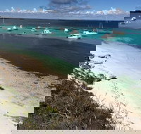 Experience Rottnest with Ferry  Bike Hire from Perth or Fremantle - Tourism Gold Coast