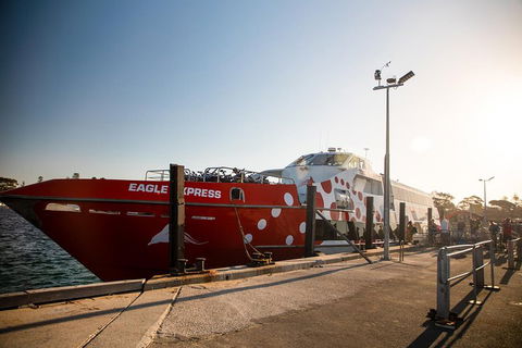 Rottnest Island Round-Trip Ferry From Perth Or Fremantle - Tourism Gold Coast 2