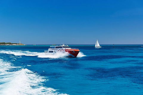 Rottnest Island Round-Trip Ferry From Perth Or Fremantle - Tourism Gold Coast 4