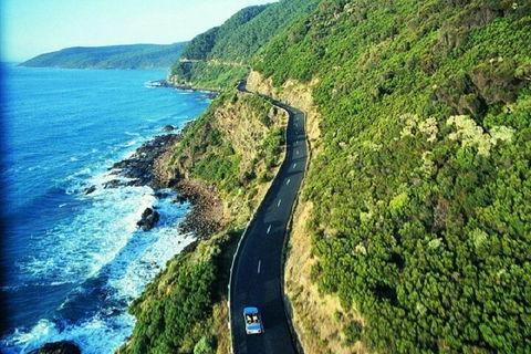 Melbourne Super Saver: Great Ocean Road + Mornington Peninsula + Attraction Pass - Tourism Gold Coast 0