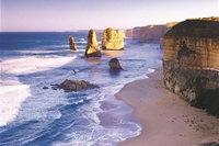 Melbourne Combo Great Ocean Road Puffing Billy Moonlit Sanctuary  Penguins