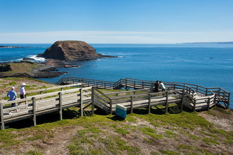 Melbourne Combo: Great Ocean Road, Puffing Billy, Moonlit Sanctuary & Penguins - Tourism Gold Coast 5