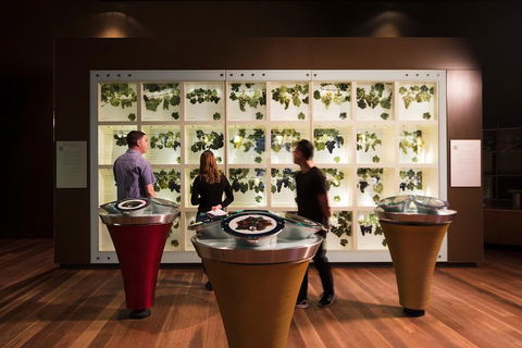 Australian Wine Discovery Tour With Tastings - Tourism Gold Coast 4