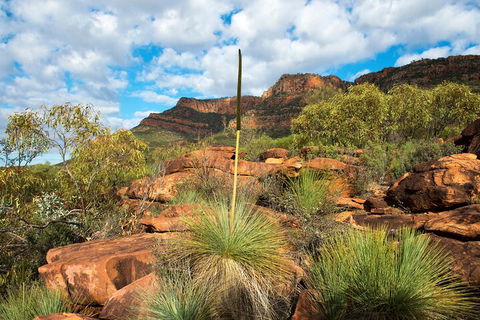 6-Day Eyre Peninsula & Flinders Ranges Adventure Tour - Tourism Gold Coast 1