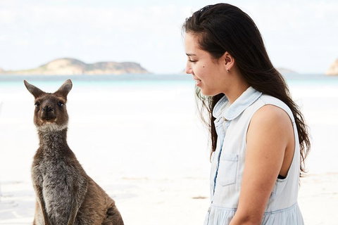10 Day Perth To Adelaide Private Tour - The Great Australian Wilderness Journey - Tourism Gold Coast 2
