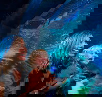 SEA LIFE Sunshine Coast Aquarium Entrance Ticket - Tourism Gold Coast