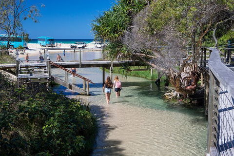 All-Inclusive Fraser Island Day Tour - Tourism Gold Coast 4