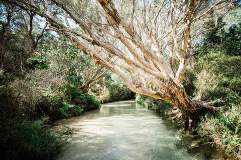 3-Day Fraser Island Resort Package - Tourism Gold Coast 5