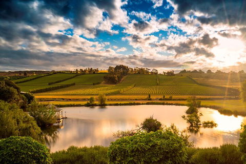 Josef Chromy Wines Winery Tour Including Tasting And Lunch - Tourism Gold Coast 3