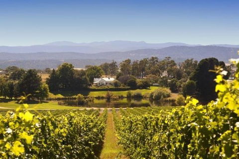 Josef Chromy Wines Winery Tour Including Tasting And Lunch - Tourism Gold Coast 4