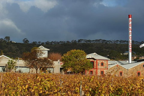 Penfolds Magill Estate Iconic Experience - Tourism Gold Coast 3