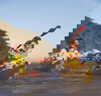 Kangaroo Island Self-Guided Kayaking on the Harriet River - Tourism Gold Coast