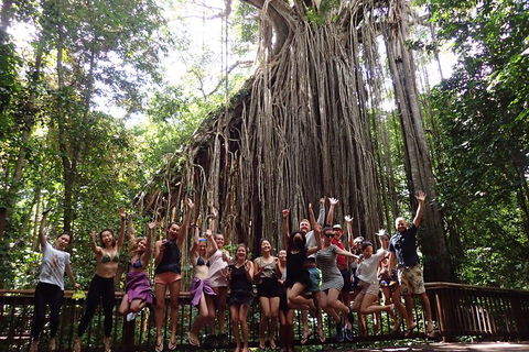 Atherton Tablelands Waterfalls Tour From Cairns - Tourism Gold Coast 5