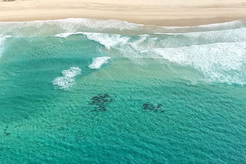 Coastal Helicopter Shared Flight - 20 Minutes - Tourism Gold Coast 4